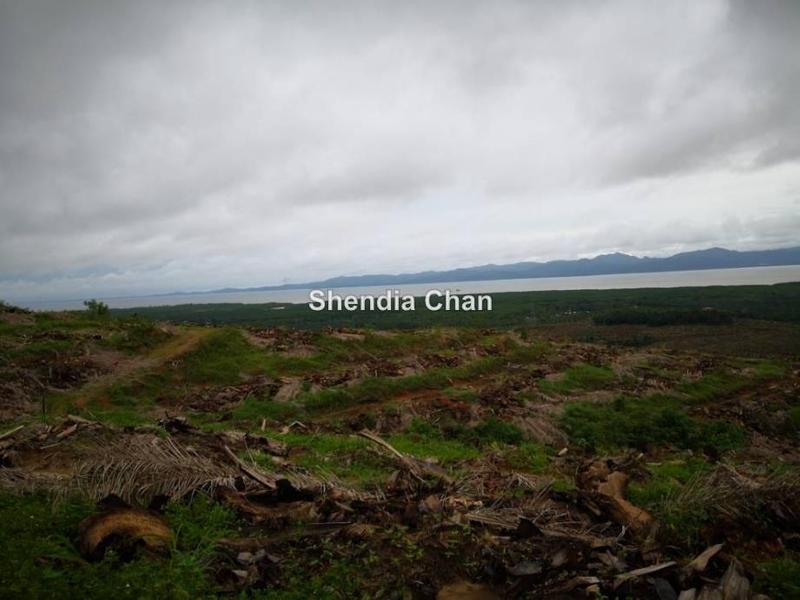 Agricultural Land for Sale in Kota Marudu, Kota Kinabalu by Shendia Chan - iProperty.com.my
