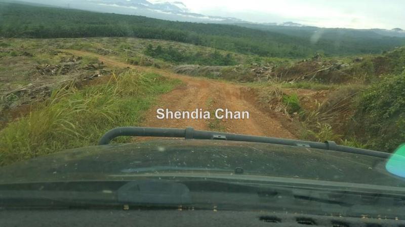 Agricultural Land for Sale in Kota Marudu, Kota Kinabalu by Shendia Chan - iProperty.com.my