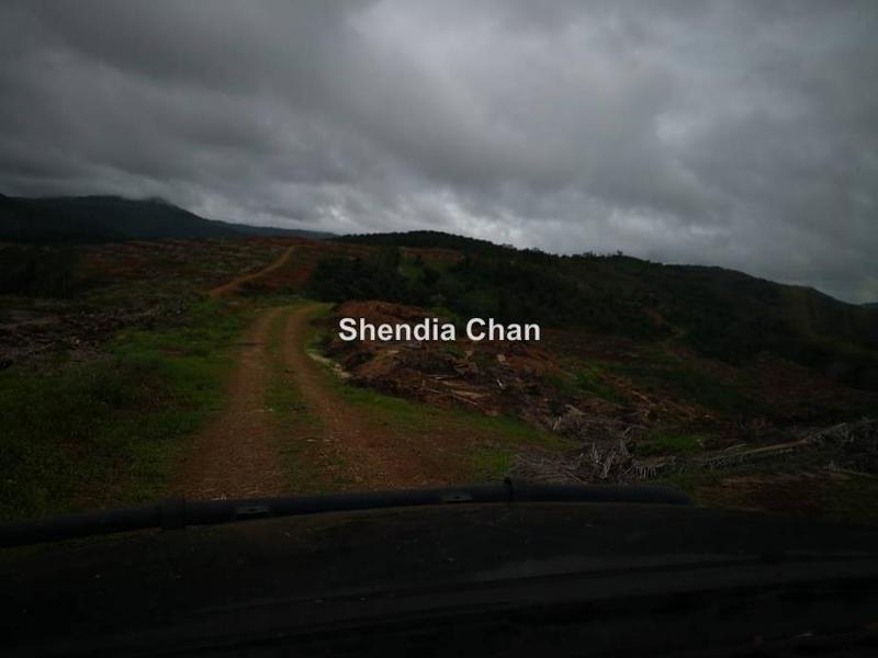 Agricultural Land for Sale in Kota Marudu, Kota Kinabalu by Shendia Chan - iProperty.com.my