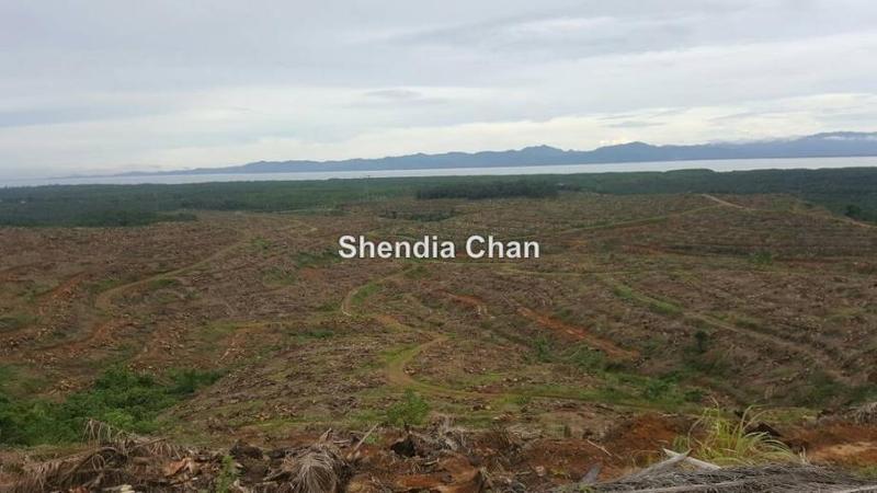 Agricultural Land for Sale in Kota Marudu, Kota Kinabalu by Shendia Chan - iProperty.com.my