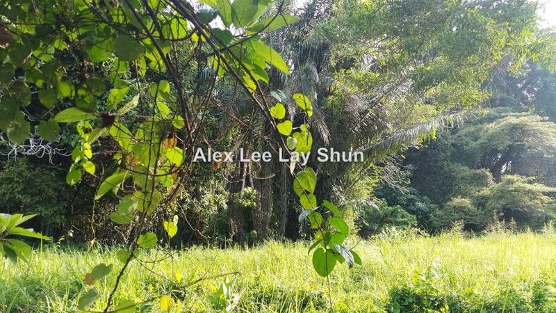 Residential Land for Sale in Batu Gajah, Perak by Alex Lee Lay Shun - iProperty.com.my