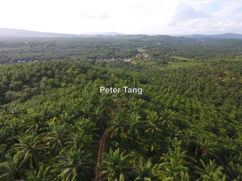 Residential Land for Sale in Merotai, Tawau by Peter Tang - iProperty.com.my