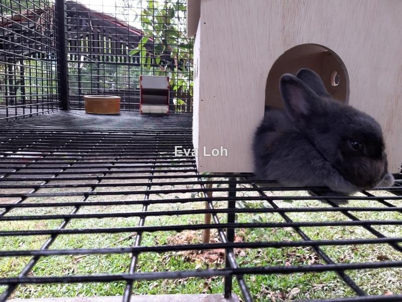 Condominium for Sale in Nidoz Residences @ Desa Petaling by Eva Loh - iProperty.com.my