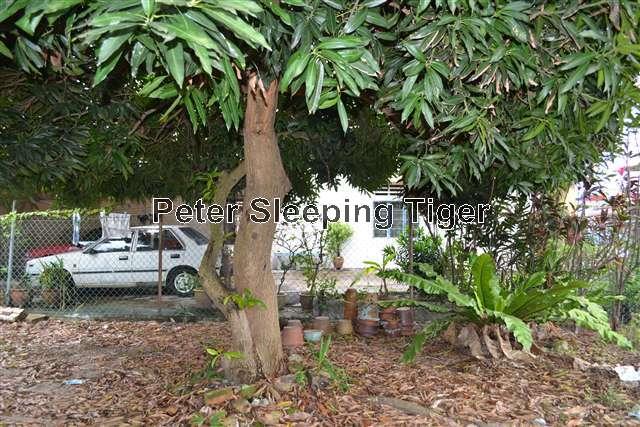 Residential Land for Sale in Bandar Hilir, Melaka City by Peter Chong - iProperty.com.my