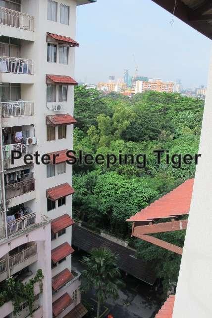 Pangsapuri untuk Dijual di Ixora Apartments oleh Peter Chong - iProperty.com.my