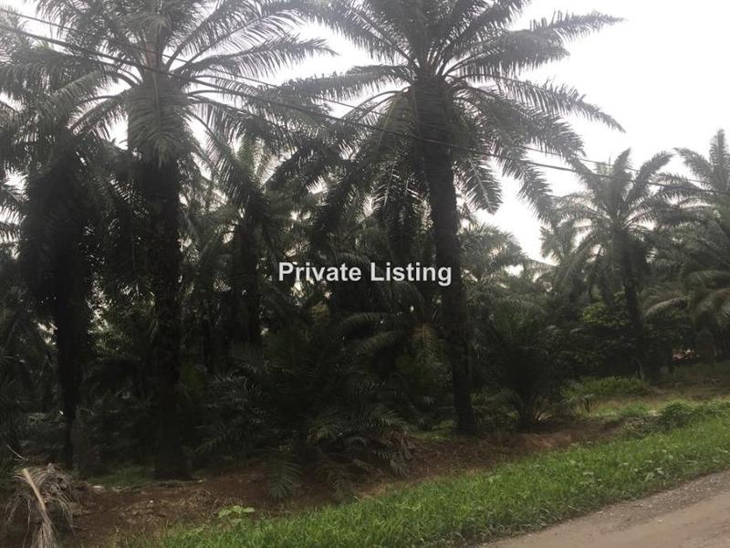 For Sale - Telok Mengkuang , Telok Panglima Garang , Jenjarom , Klang
