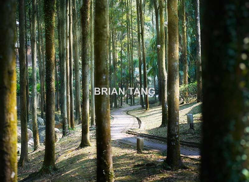 Banglo Tanah untuk Dijual di Sierramas, Sungai Buloh oleh Brian Tang - iProperty.com.my