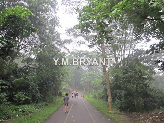 Bungalow House for Sale in Country Heights Damansara, Kuala Lumpur by Bryant Be - iProperty.com.my