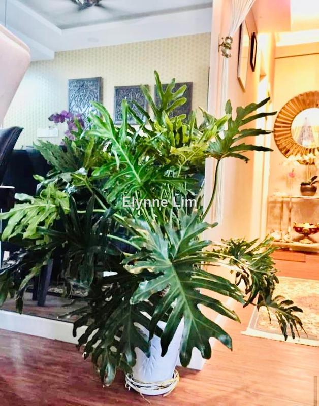Service Residence for Rent in Savanna Executive Suite @ Southville City by Elynne Lim - iProperty.com.my