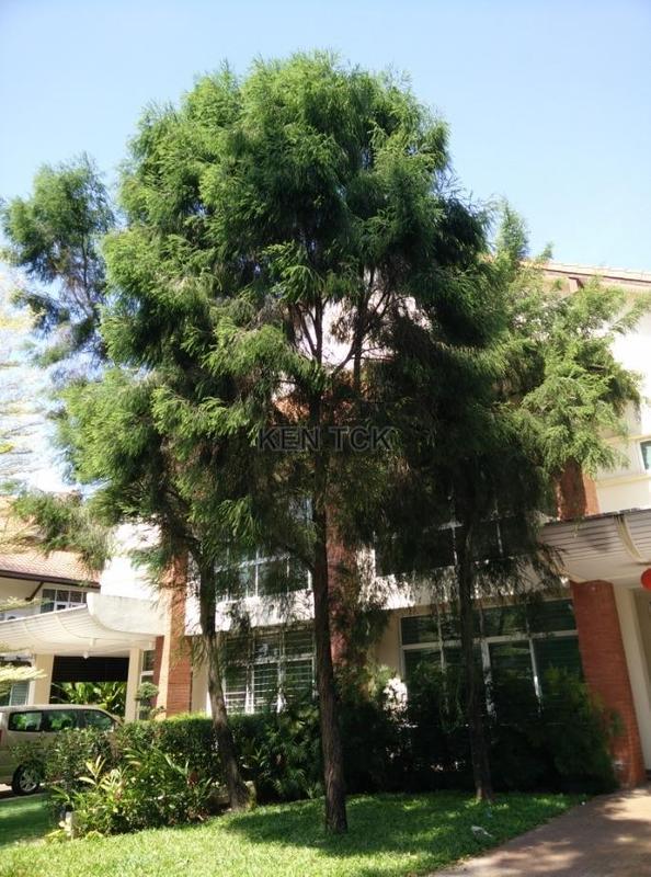 Semi-Detached House for Sale in MapleWood Saujana, Ara Damansara, Saujana by Ken Tan - iProperty.com.my