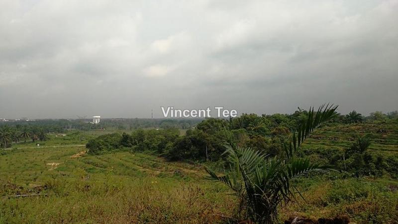Tanah Pertanian untuk Dijual di Bestari Jaya, Ijok, Kuala Selangor oleh Vincent Tee - iProperty.com.my