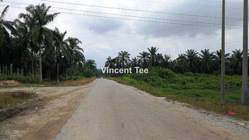 Tanah Pertanian untuk Dijual di Bestari Jaya, Ijok, Kuala Selangor oleh Vincent Tee - iProperty.com.my