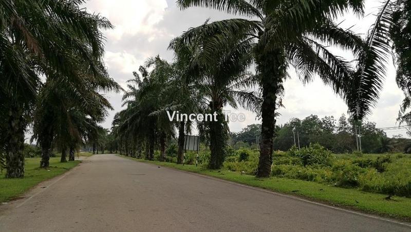 Tanah Pertanian untuk Dijual di Bestari Jaya, Ijok, Kuala Selangor oleh Vincent Tee - iProperty.com.my