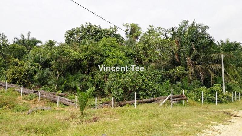 Tanah Pertanian untuk Dijual di Bestari Jaya, Ijok, Kuala Selangor oleh Vincent Tee - iProperty.com.my