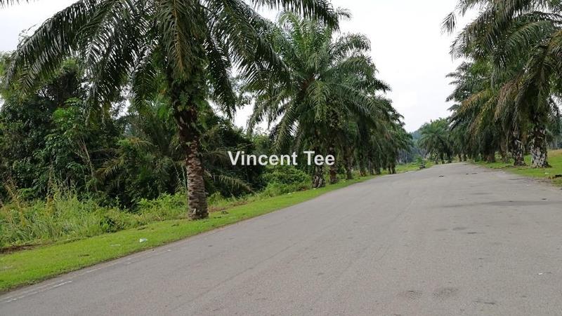 Tanah Pertanian untuk Dijual di Bestari Jaya, Ijok, Kuala Selangor oleh Vincent Tee - iProperty.com.my