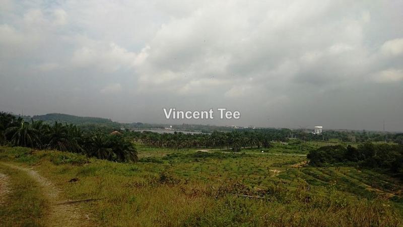 Tanah Pertanian untuk Dijual di Bestari Jaya, Ijok, Kuala Selangor oleh Vincent Tee - iProperty.com.my
