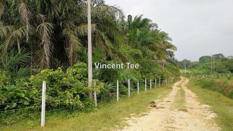 For Sale - Batang Berjuntai