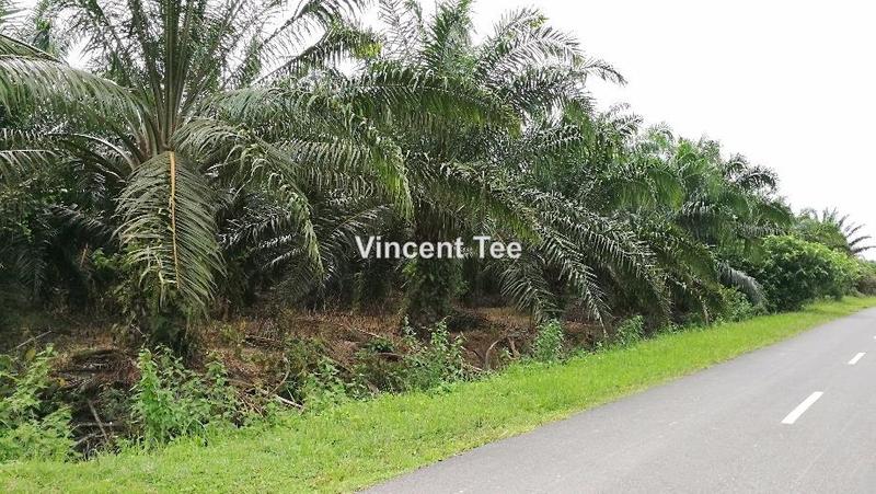For Sale - 5 Acres Converted Industry Land Kampung Kuantan Ijok Kuala Selangor