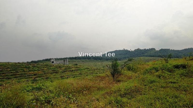 Tanah Pertanian untuk Dijual di Bestari Jaya, Ijok, Kuala Selangor oleh Vincent Tee - iProperty.com.my