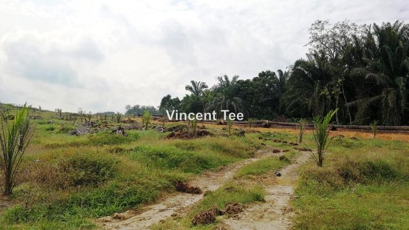 Tanah Pertanian untuk Dijual di Bestari Jaya, Ijok, Kuala Selangor oleh Vincent Tee - iProperty.com.my