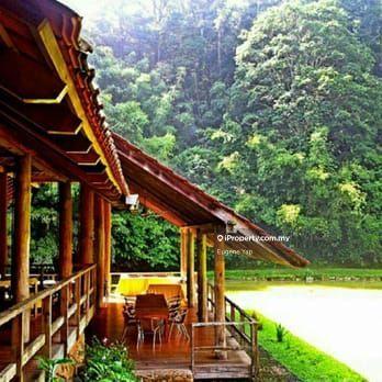 Agricultural Land for Sale in Tanarimba,Janda Baik,Bentong, Bentong by Eugene Yap - iProperty.com.my