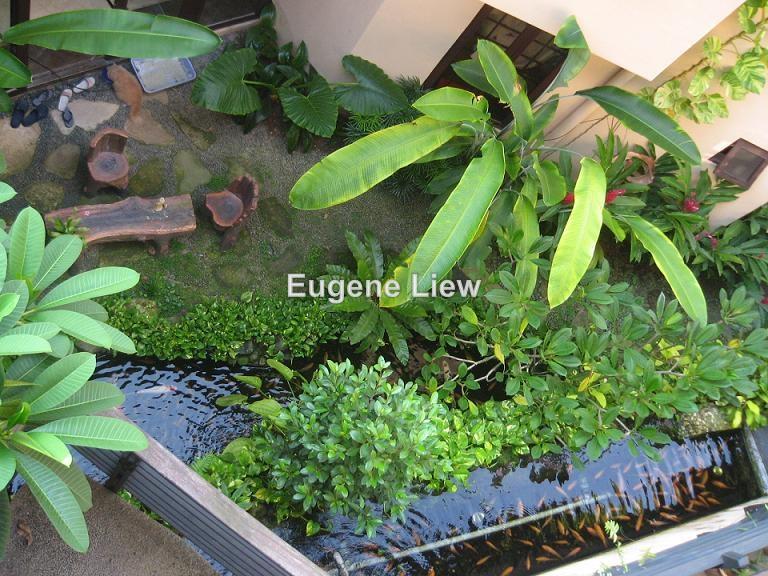 Banglo untuk Dijual di Setiabakti, Damansara Heights oleh Eugene Liew - iProperty.com.my