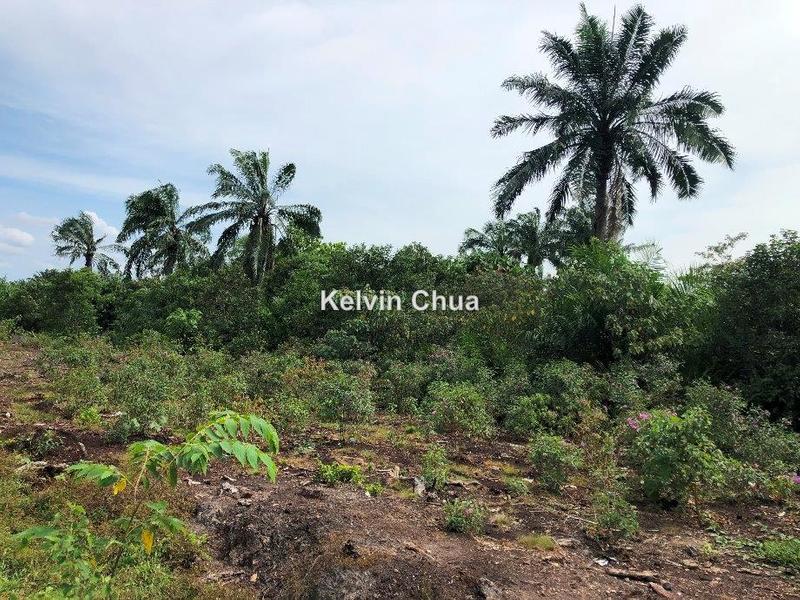 For Sale - Sementa, Kampung Perapat, Kapar, Meru, Kapar Town