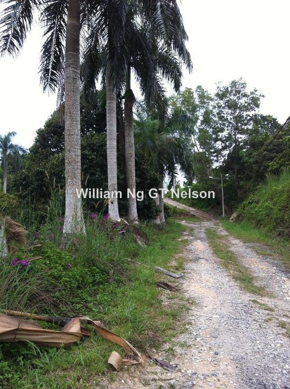 Agricultural Land for Sale in Kuala Klawang, Kuala Klawang by William Ng - iProperty.com.my