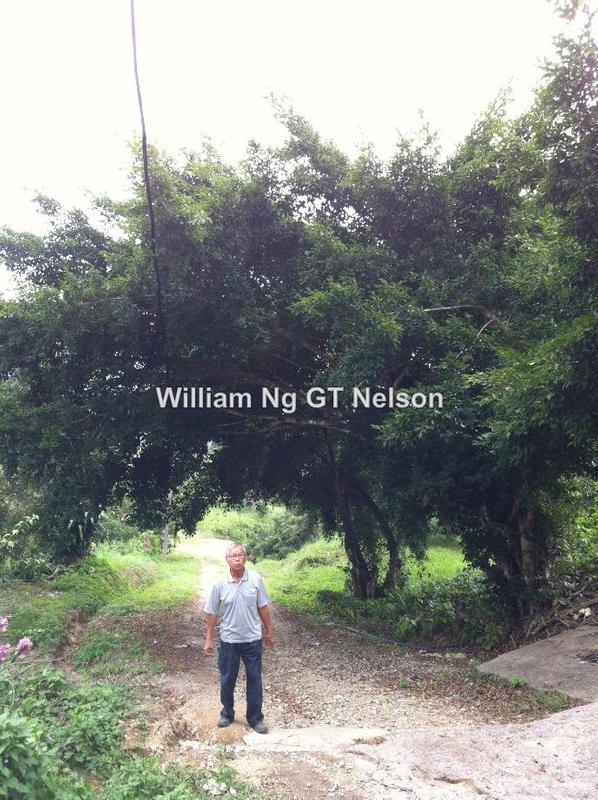 Agricultural Land for Sale in Kuala Klawang, Kuala Klawang by William Ng - iProperty.com.my