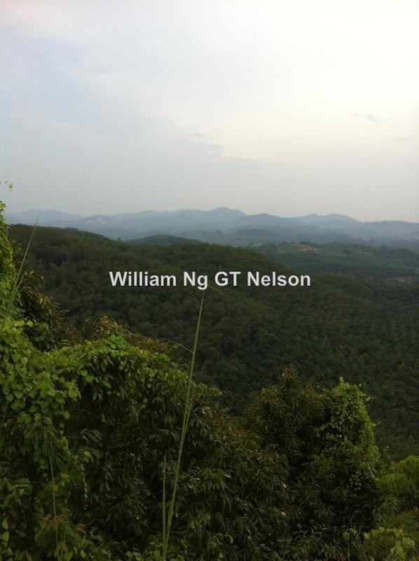 Agricultural Land for Sale in Kuala Klawang, Kuala Klawang by William Ng - iProperty.com.my