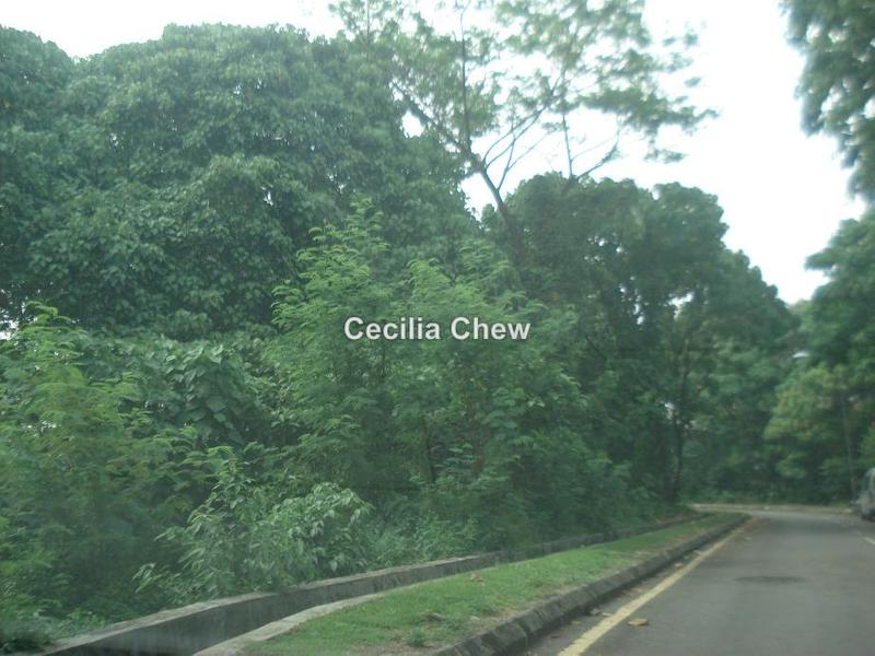 For Sale - Commercial Land