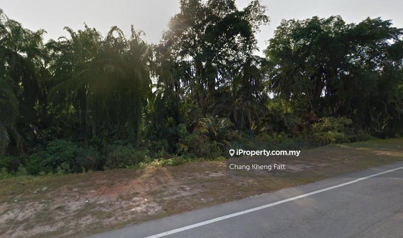 Agricultural Land for Sale in Bestari Jaya, Batang Berjuntai, Ijok, Kuala Selangor by Chang Kheng Fatt - iProperty.com.my