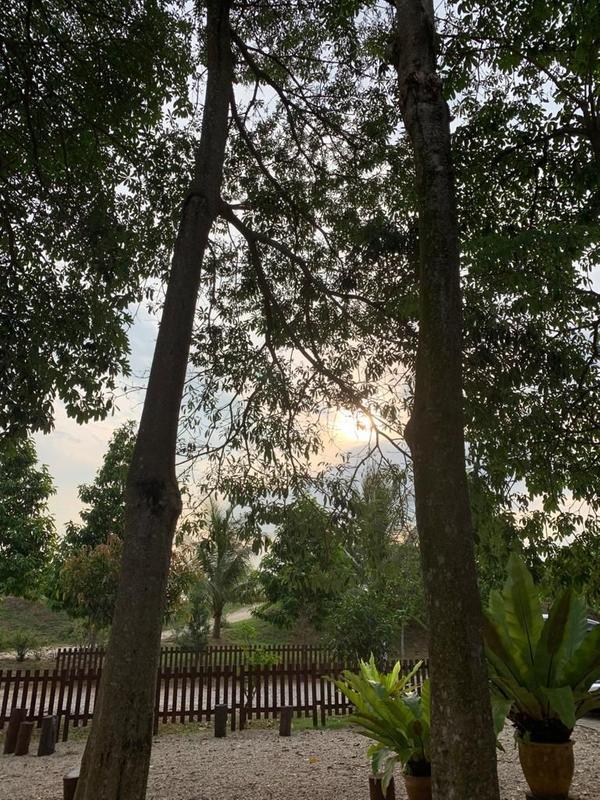 Bungalow House for Rent in Leisure farm, Iskandar Puteri (Nusajaya) by Owen Tan - iProperty.com.my