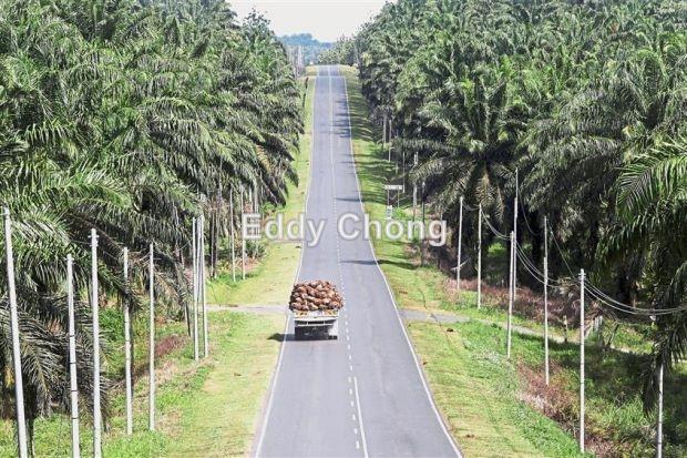 Tanah Pertanian untuk Dijual di Sri Lalang, Kluang oleh Eddy Chong - iProperty.com.my