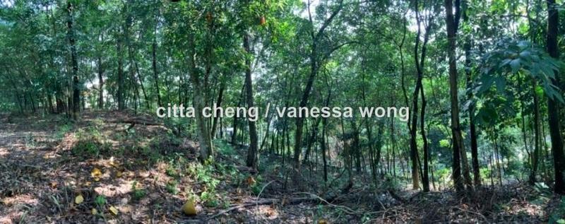 Banglo Tanah untuk Dijual di Country Heights Damansara, Kuala Lumpur oleh Citta Cheng - iProperty.com.my