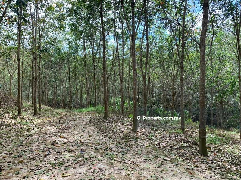 Tanah Pertanian untuk Dijual di Kenaboi Titi Jelebu Kuala klawang Land, Titi oleh Terence Lok - iProperty.com.my