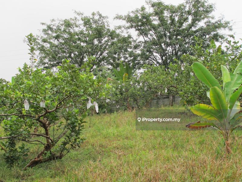 Tanah Pertanian untuk Dijual di Batu Arang, Selangor oleh Peter Chong - iProperty.com.my