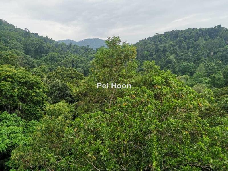 Bungalow House for Sale in Batu Ferringhi, Penang by Pei Hoon - iProperty.com.my