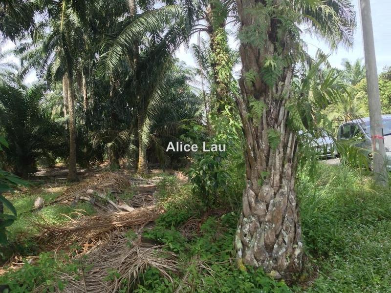 Agricultural Land for Sale in Hulu Yam, Rawang by Alice Lau - iProperty.com.my