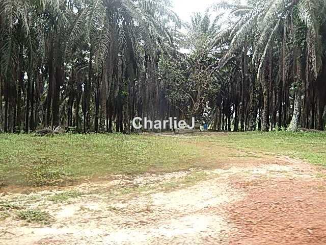 Industrial Land for Sale in Gambang Industrial Area, Kuantan by Charles Joseph - iProperty.com.my