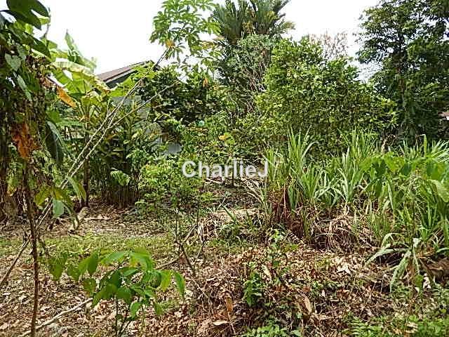 Residential Land for Sale in Balik Pulau, Balik Pulau by Charles Joseph - iProperty.com.my