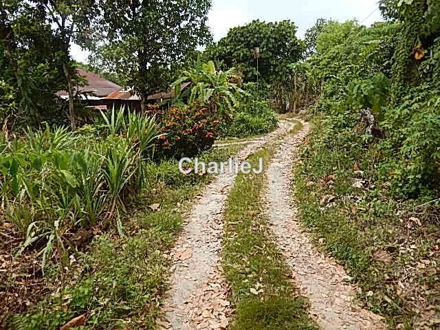 Residential Land for Sale in Balik Pulau, Balik Pulau by Charles Joseph - iProperty.com.my