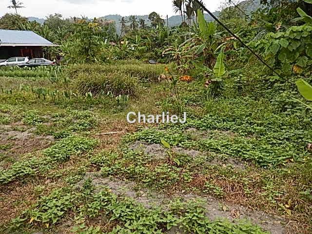Residential Land for Sale in Balik Pulau, Balik Pulau by Charles Joseph - iProperty.com.my