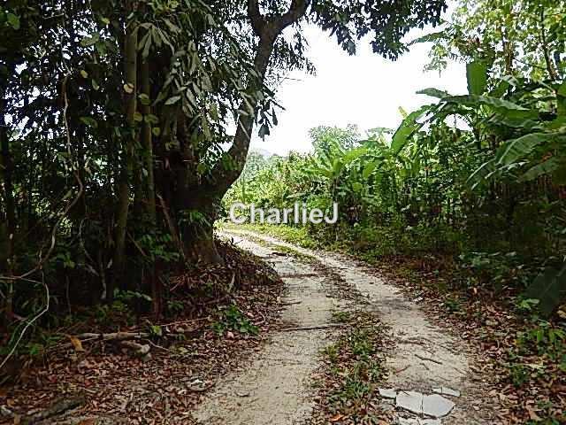 Residential Land for Sale in Balik Pulau, Balik Pulau by Charles Joseph - iProperty.com.my