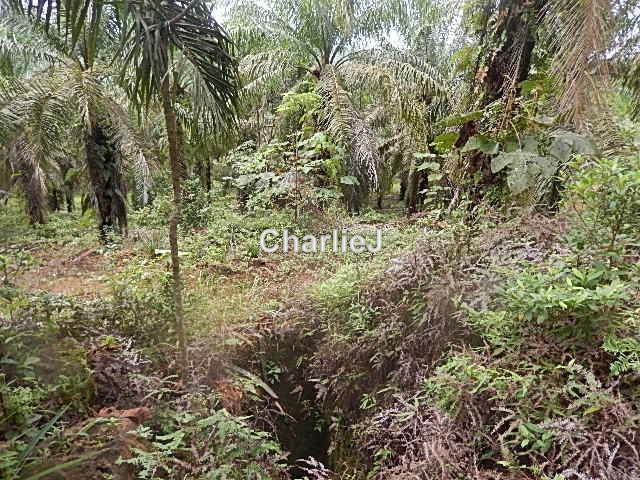 Industrial Land for Sale in Gambang Industrial Area, Kuantan by Charles Joseph - iProperty.com.my