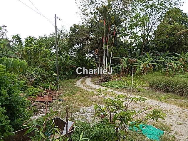 Residential Land for Sale in Balik Pulau, Balik Pulau by Charles Joseph - iProperty.com.my