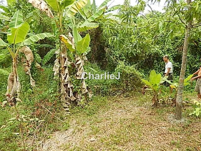 Residential Land for Sale in Balik Pulau, Balik Pulau by Charles Joseph - iProperty.com.my