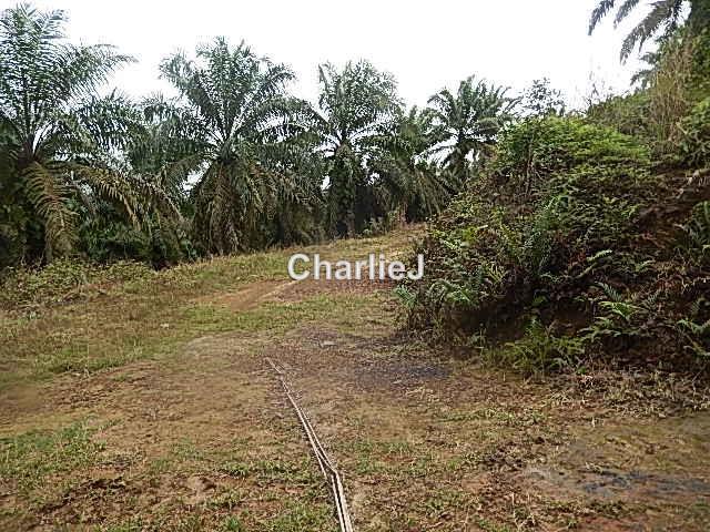 Industrial Land for Sale in Gambang Industrial Area, Kuantan by Charles Joseph - iProperty.com.my