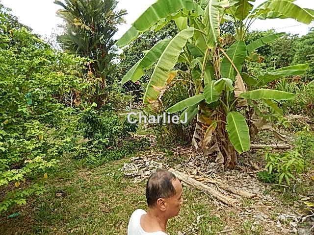 Residential Land for Sale in Balik Pulau, Balik Pulau by Charles Joseph - iProperty.com.my