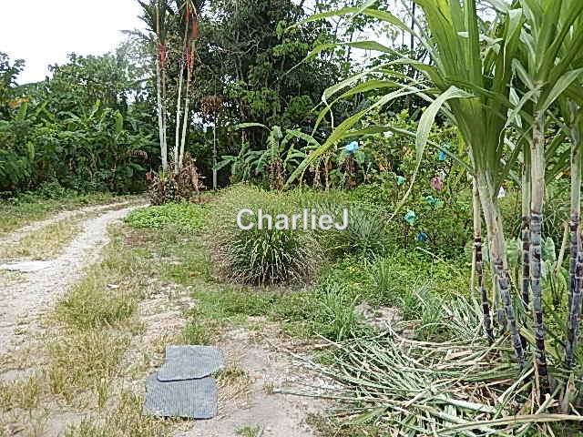 Residential Land for Sale in Balik Pulau, Balik Pulau by Charles Joseph - iProperty.com.my